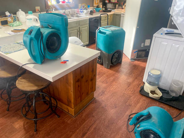 Best Basement water damage restoration  in Freeport, PA