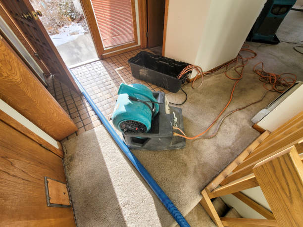 Best Sewage cleanup and water damage restoration  in Freeport, PA